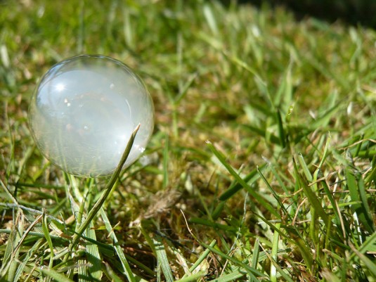 foggy bubble in grass